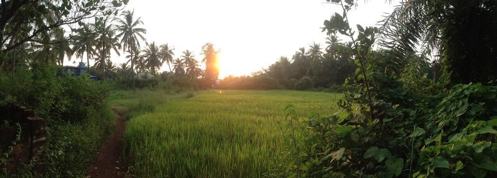 The Mandala Hotel มานเดรม ภายนอก รูปภาพ